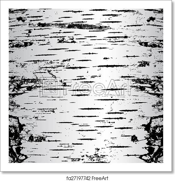 561x581 Free Art Print Of Bark Of Birch In The Cracks Texture Vector