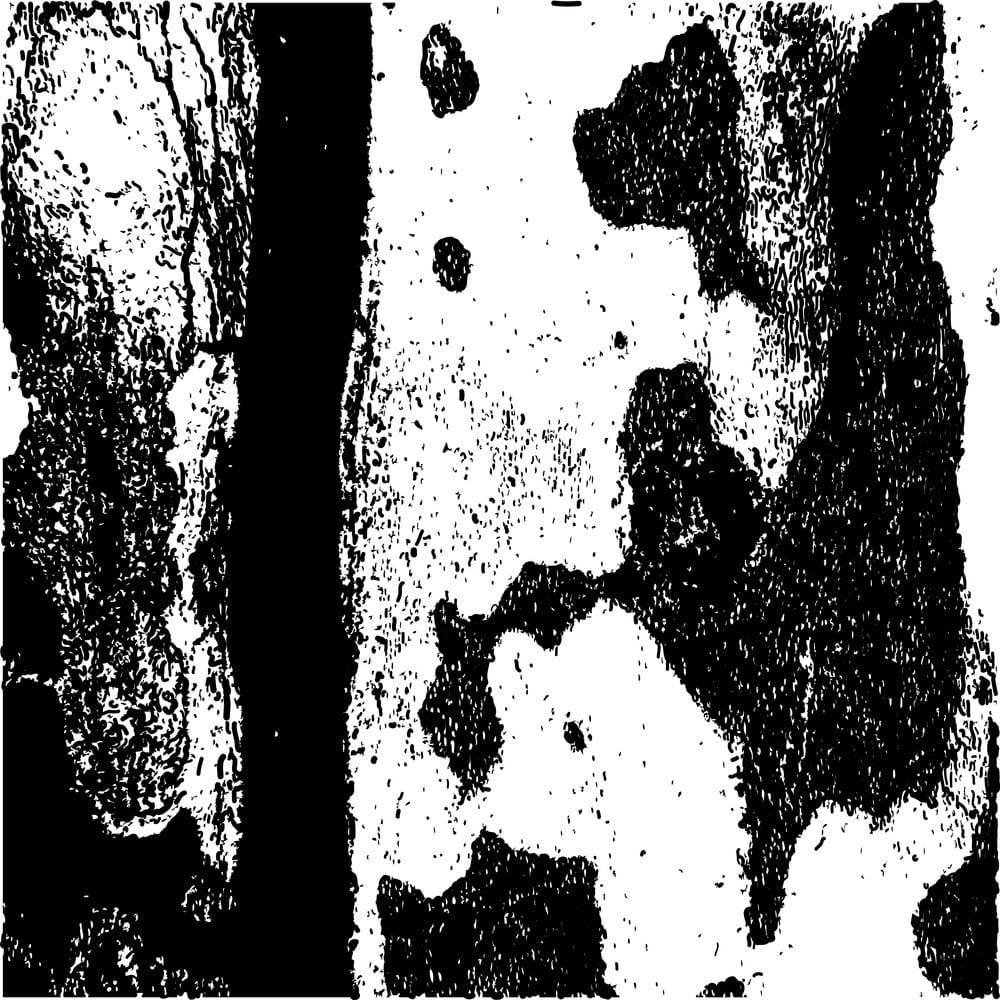 1000x1000 Abstract Background Bark Vector Free Graphics Uihere