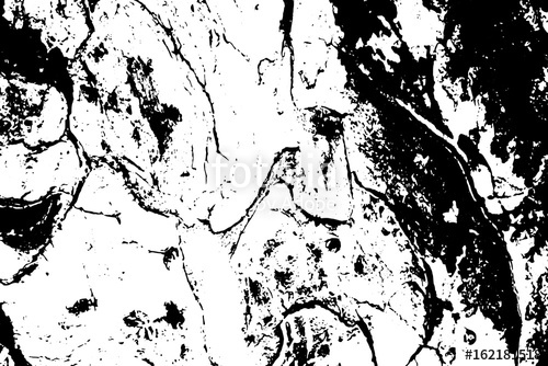 500x334 Grungy Tree Bark Vector Texture Black And White Bark Ornament