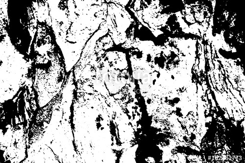 500x334 Obsolete Tree Bark Vector Texture Black And White Bark Ornament