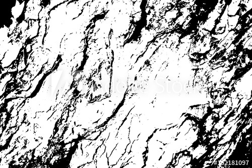 500x334 Obsolete Tree Bark Vector Texture Black And White Lumber Ornament