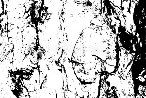500x334 Old Obsolete Tree Bark Vector Texture Black And White Bark