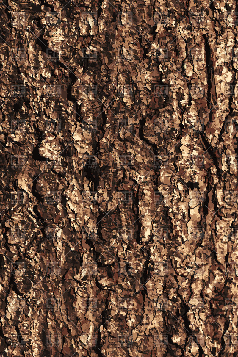 800x1200 Pine Bark Texture Pattern Vector Image Of Backgrounds, Textures