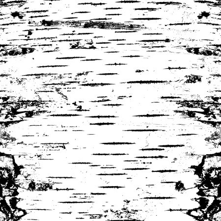 450x450 Bark Of Birch In The Cracks Texture Vector Illustration Royalty