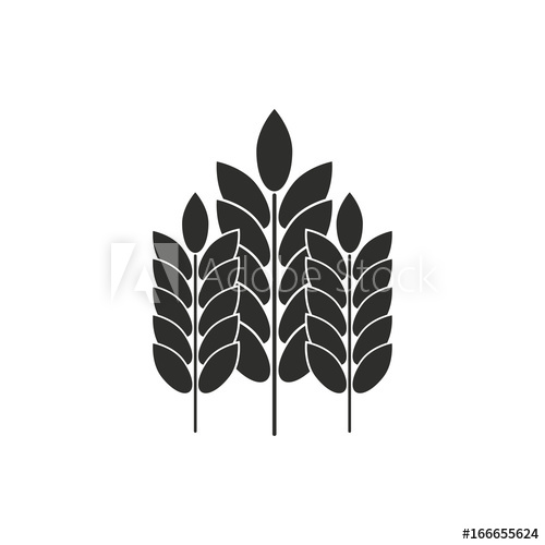 500x500 Barley Vector Icon