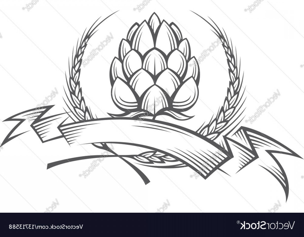 1200x936 Image Of Hop And Barley Ear Vector Soidergi