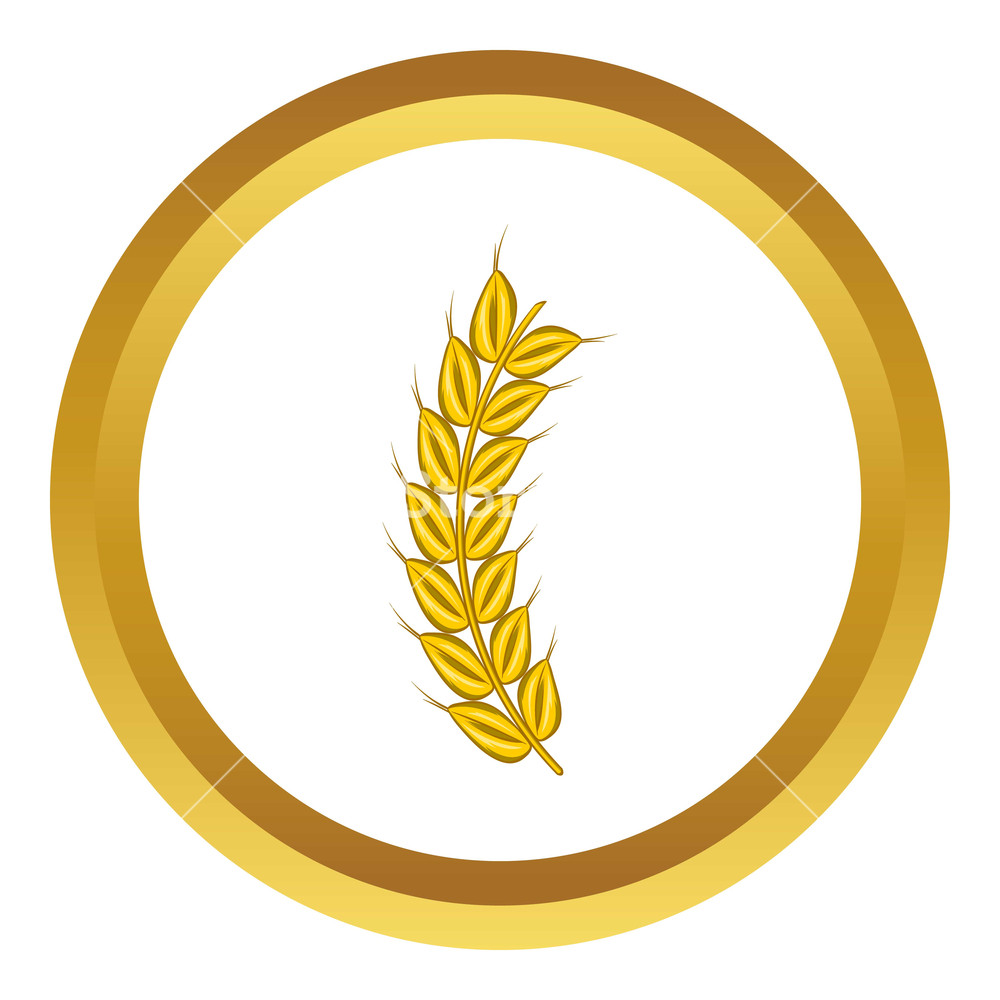 1000x1000 Stalk Of Ripe Barley Vector Icon In Golden Circle, Cartoon Style