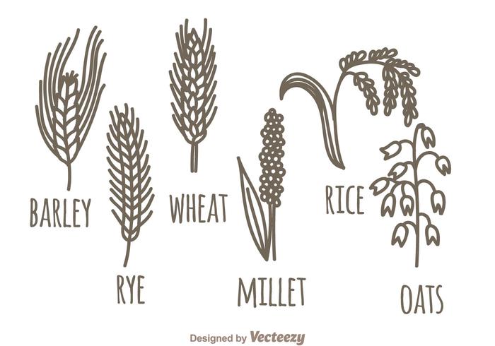 700x490 Barley Free Vector Art