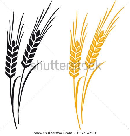 450x470 Ears Of Wheat, Barley Or Rye Vector Visual Graphic Icons, Ideal