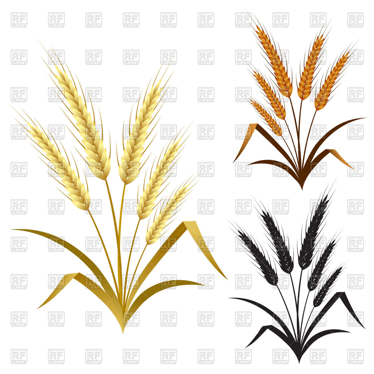 1200x1200 Ears Of Wheat, Barley And Rye Vector Image Of Plants And Animals