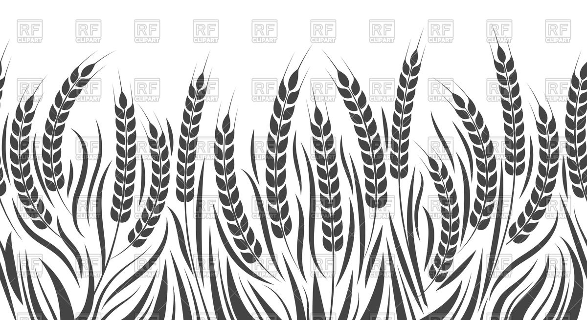 1200x655 Harvest Horizontal Pattern Wheat, Rye Or Barley Field Vector