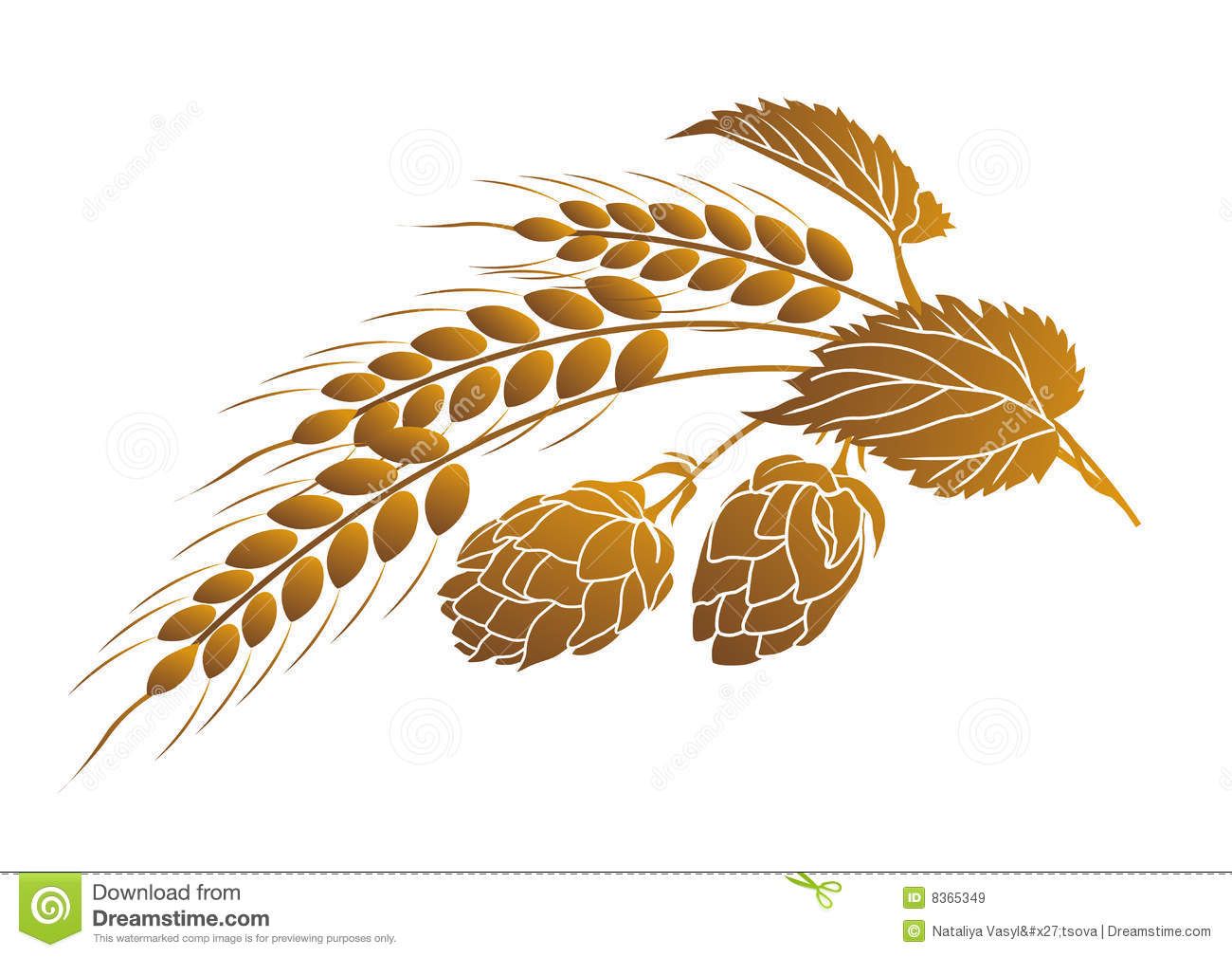 1300x1009 Image Result For Hop Barley Clip Art Hop