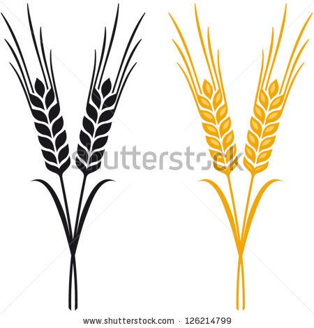 450x470 Wheat Clipart Beer For Free Download And Use Images