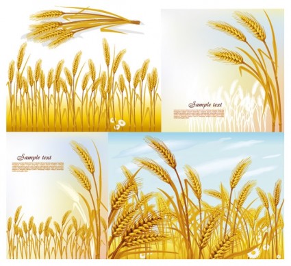 425x388 Wheat Vector Free Vectors Ui Download