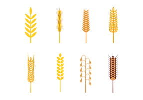 286x200 Barley Free Vector Art
