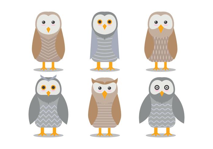 Barn Owl Vectors 700x490 Barn Owl Vectors