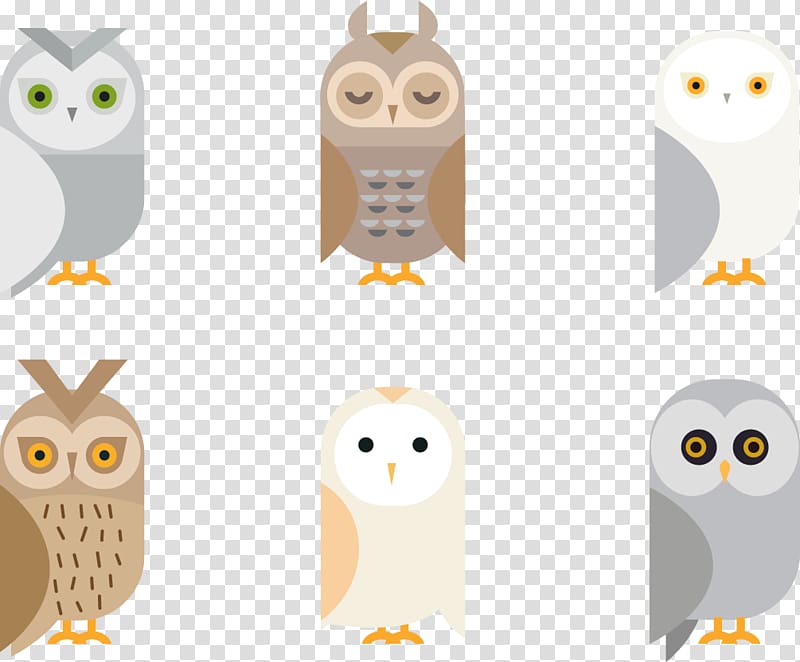 Barn Owl Giant Panda Bird, Owl Transparent Background Png Clipart 800x662 Barn Owl Giant Panda Bird, Owl Transparent Background Png Clipart