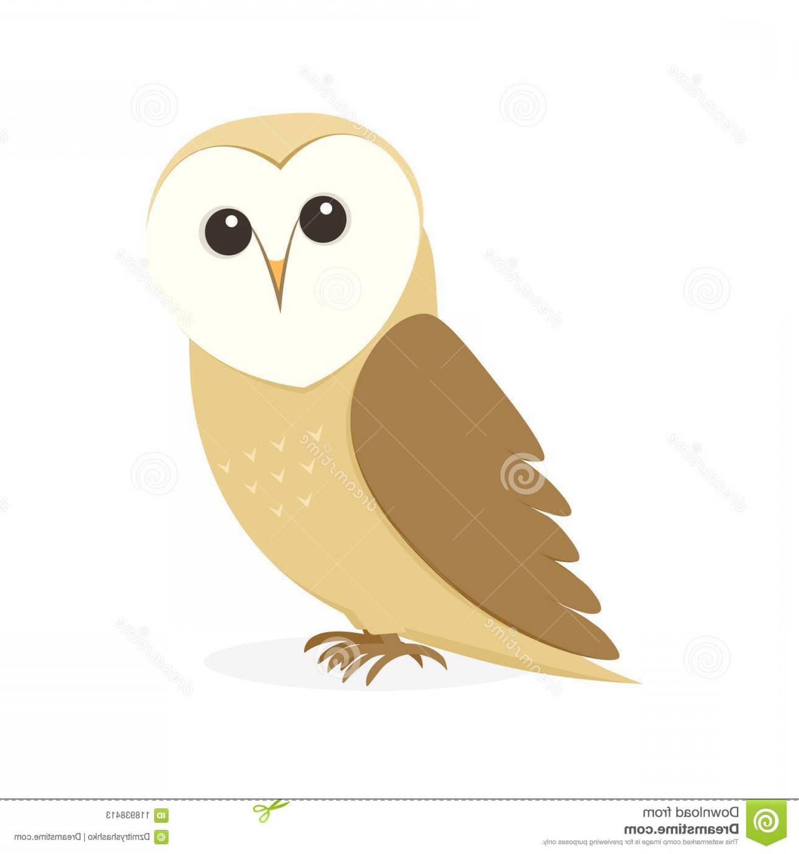 Cartoon Barn Owl Vector Image Isolated White Background Cartoon 1560x1668 Cartoon Barn Owl Vector Image Isolated White Background Cartoon