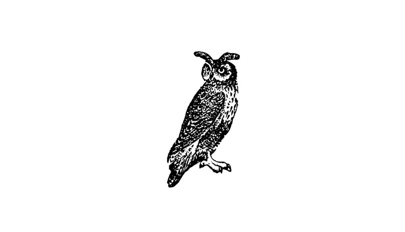 Digital Png Owl Bird Horned Owl Barn Owl Flying Etsy 794x455 Digital Png Owl Bird Horned Owl Barn Owl Flying Etsy