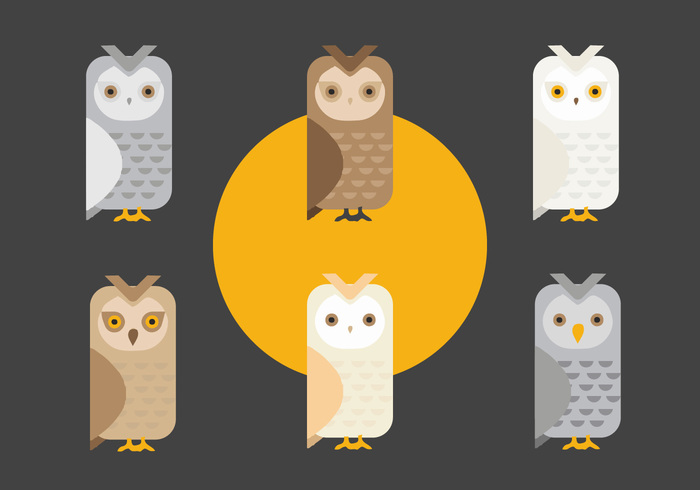 Free Barn Owl Vector 700x490 Free Barn Owl Vector