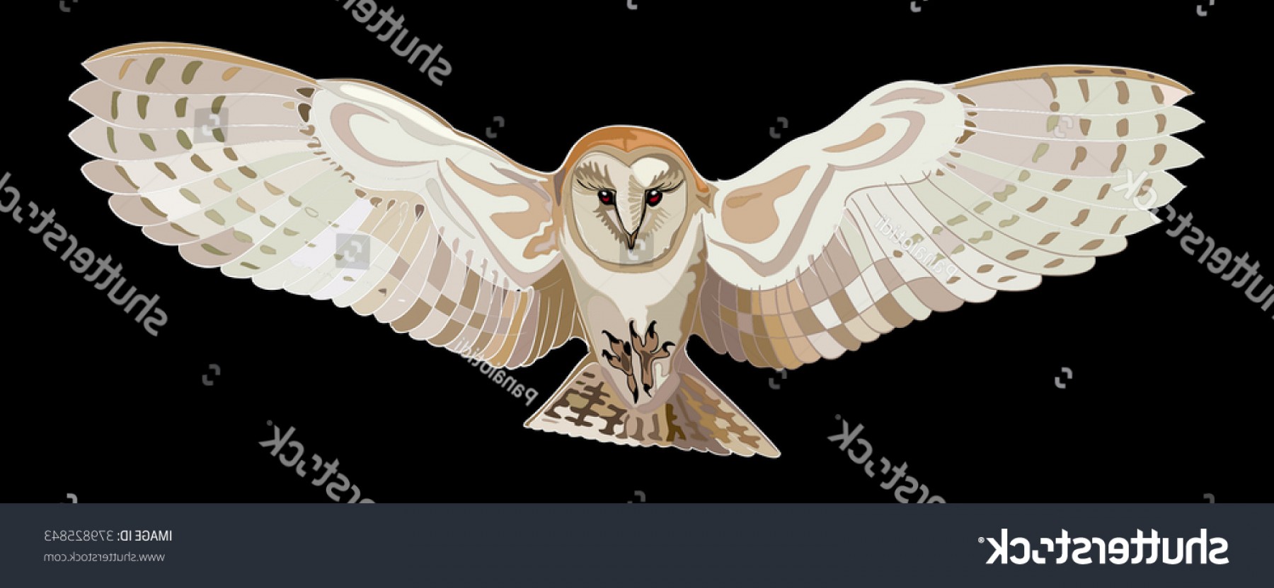Flying Barn Owl Vector Image Hoodamathrun 1800x832 Flying Barn Owl Vector Image Hoodamathrun