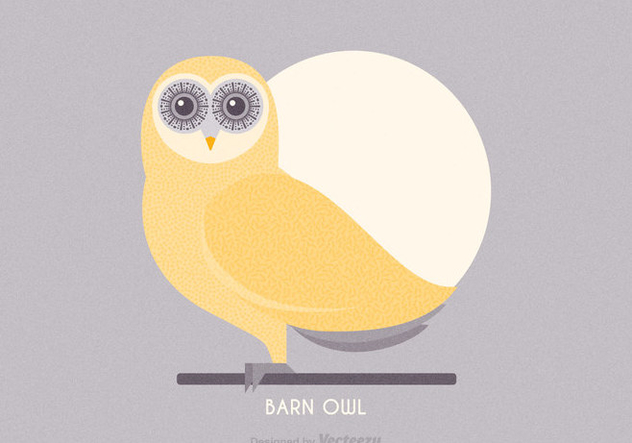 Free Barn Owl Vector Illustration Free Vector Download 632x443 Free Barn Owl Vector Illustration Free Vector Download