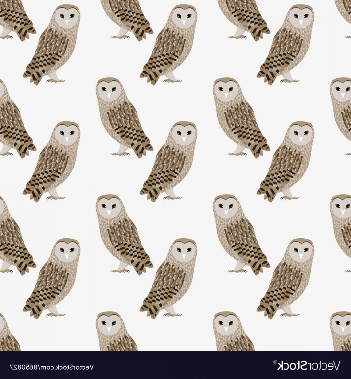Pattern Of Barn Owl Vector Soidergi 1200x1296 Pattern Of Barn Owl Vector Soidergi