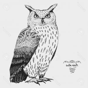 Photostock Vector Hand Drawn Vector Realistic Bird Sketch Graphic 300x300 Photostock Vector Hand Drawn Vector Realistic Bird Sketch Graphic