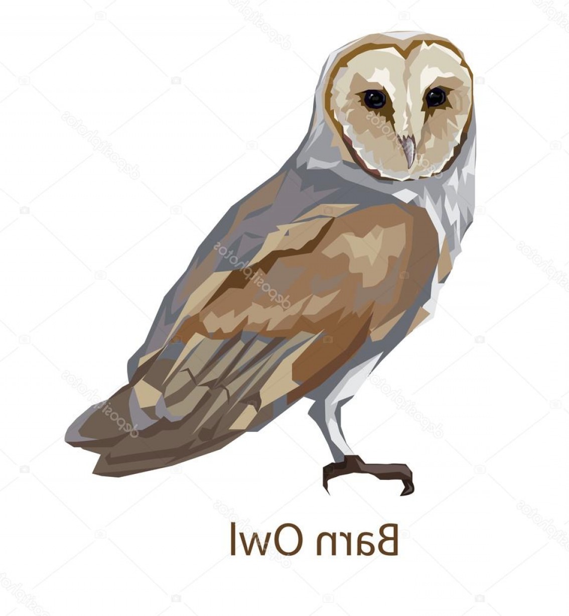 Stock Illustration Owl Illustration Barn Owl Hoodamathrun 1134x1227 Stock Illustration Owl Illustration Barn Owl Hoodamathrun