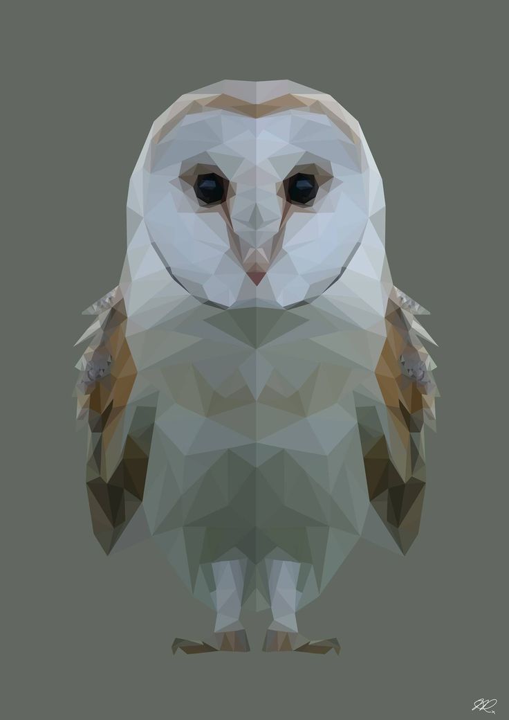 Vector Portrait Barn Owl Digital Vector Portrait Of An Owl White 736x1040 Vector Portrait Barn Owl Digital Vector Portrait Of An Owl White