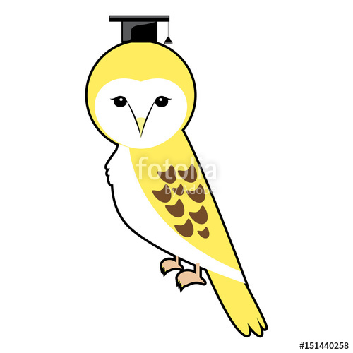 Barn Owl Graduation Cap Vector Designs Vector Stock Image 500x500 Barn Owl Graduation Cap Vector Designs Vector Stock Image