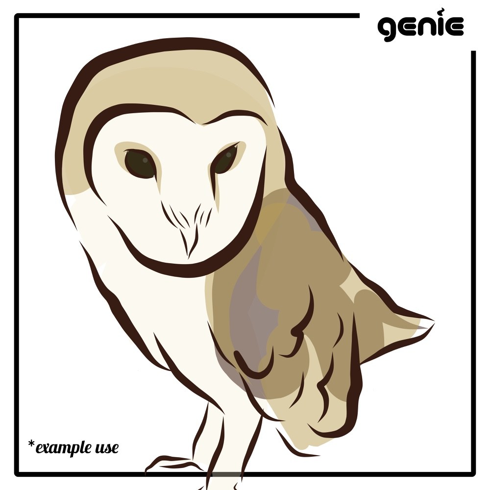 Barn Owl Bird Vector Graphic Illustration Hand Drawn Drawing 1000x1000 Barn Owl Bird Vector Graphic Illustration Hand Drawn Drawing