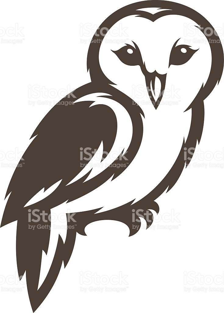 735x1024 Barn Owl Black And White Clipart
