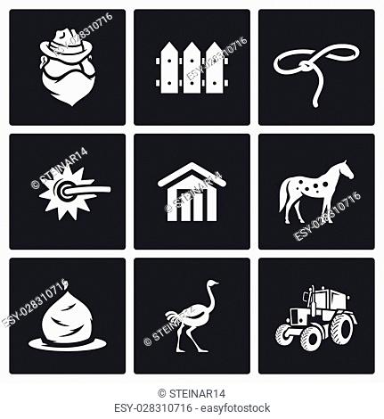 431x470 Silhouette Of Horses In A Barn Stock Photos And Images Age Fotostock