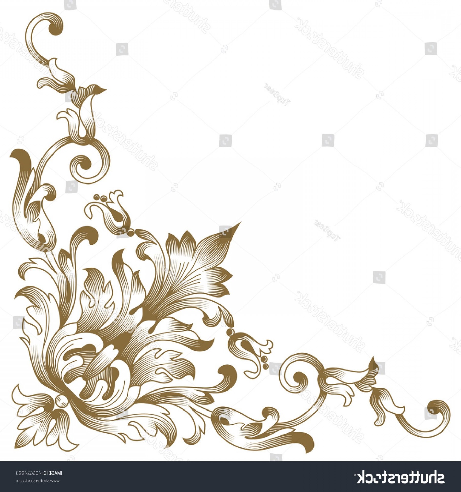 1800x1920 Vector Vintage Baroque Border Floral Patterns Cb Soidergi