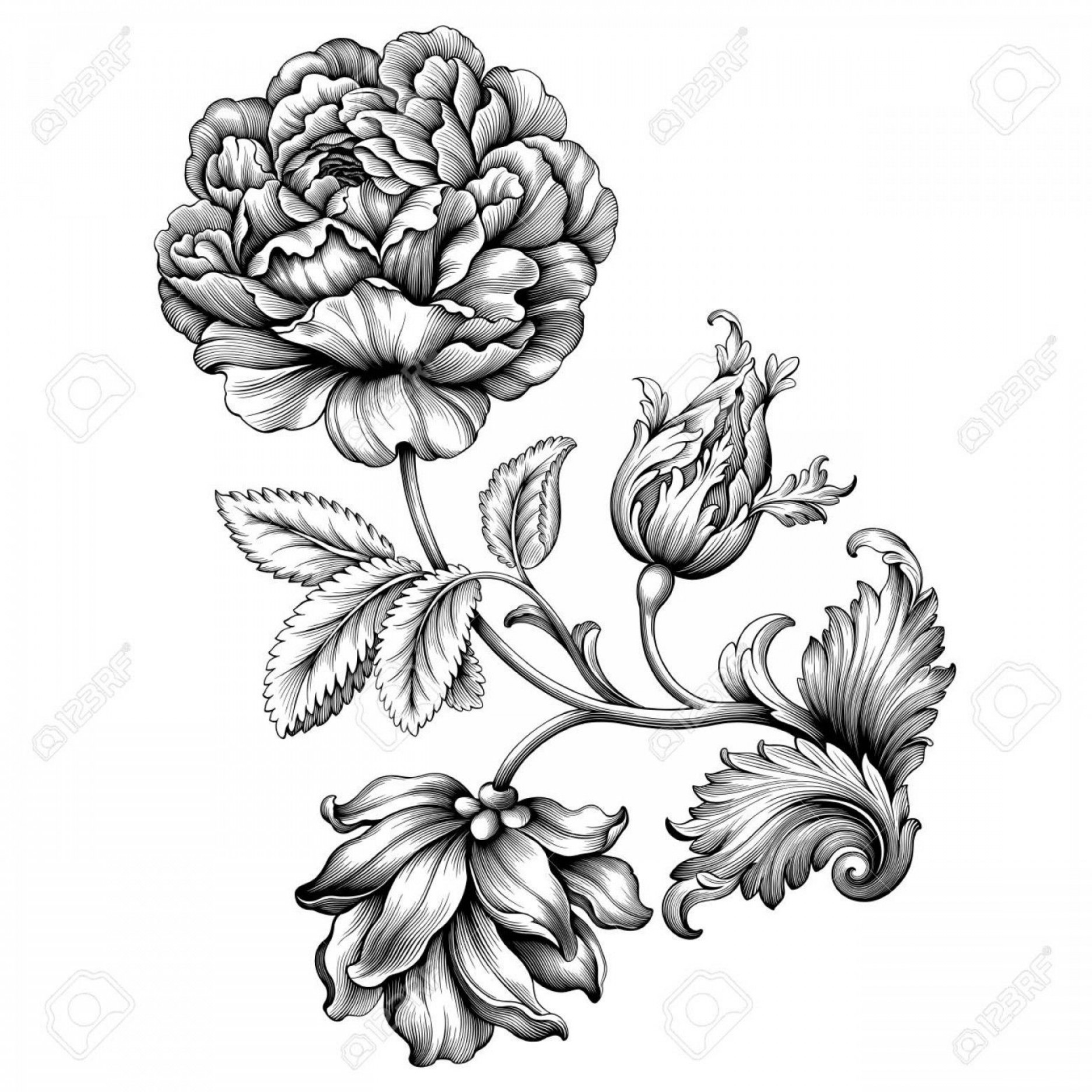 1872x1872 Victorian Flower Border Vector Iniikim