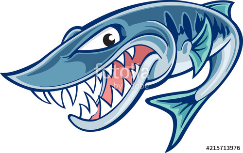 500x316 Barracuda Stock Image And Royalty Free Vector On Fotolia