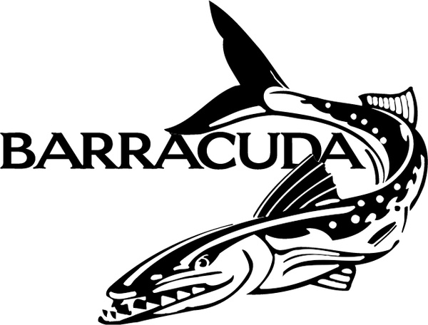 600x456 Barracuda Free Vector In Encapsulated Postscript