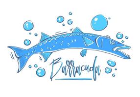 286x200 Barracuda Free Vector Art
