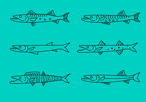 286x200 Barracuda Free Vector Art