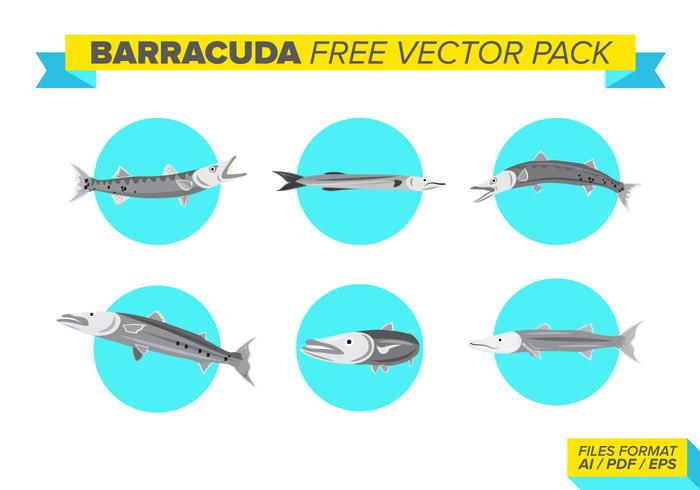 700x490 Barracuda Free Vector Pack Stock Images