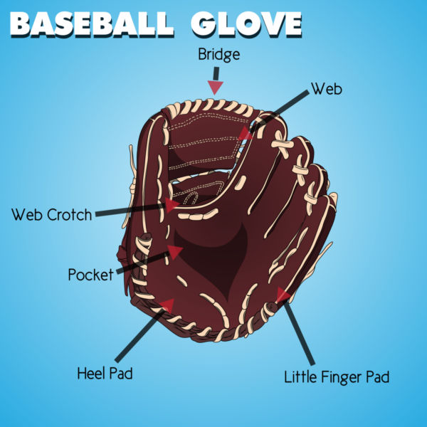 600x600 Baseball Glove Vector