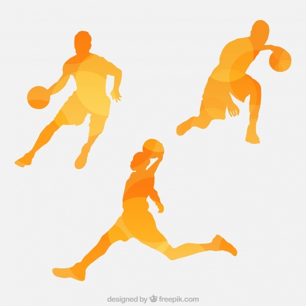 626x626 Basketball Vectors, Photos And Free Download