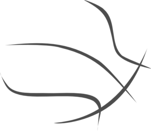 Download Basketball Transparent Outline At Vector Download Png 297x258 Download Basketball Transparent Outline At Vector Download Png