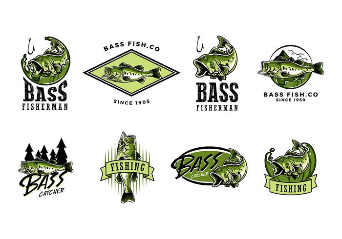 Largemouth Bass Vector 700x490 Largemouth Bass Vector