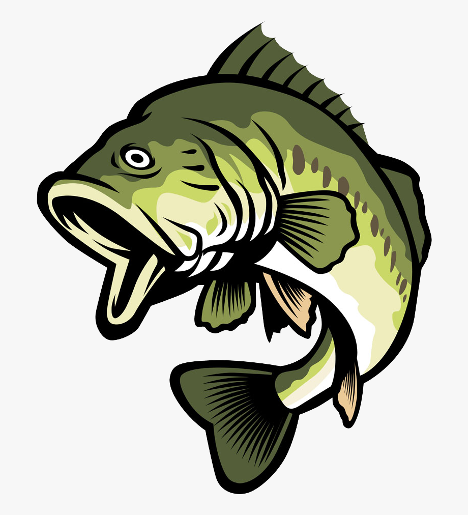 Bass Fish Clipart 920x1012 Bass Fish Clipart
