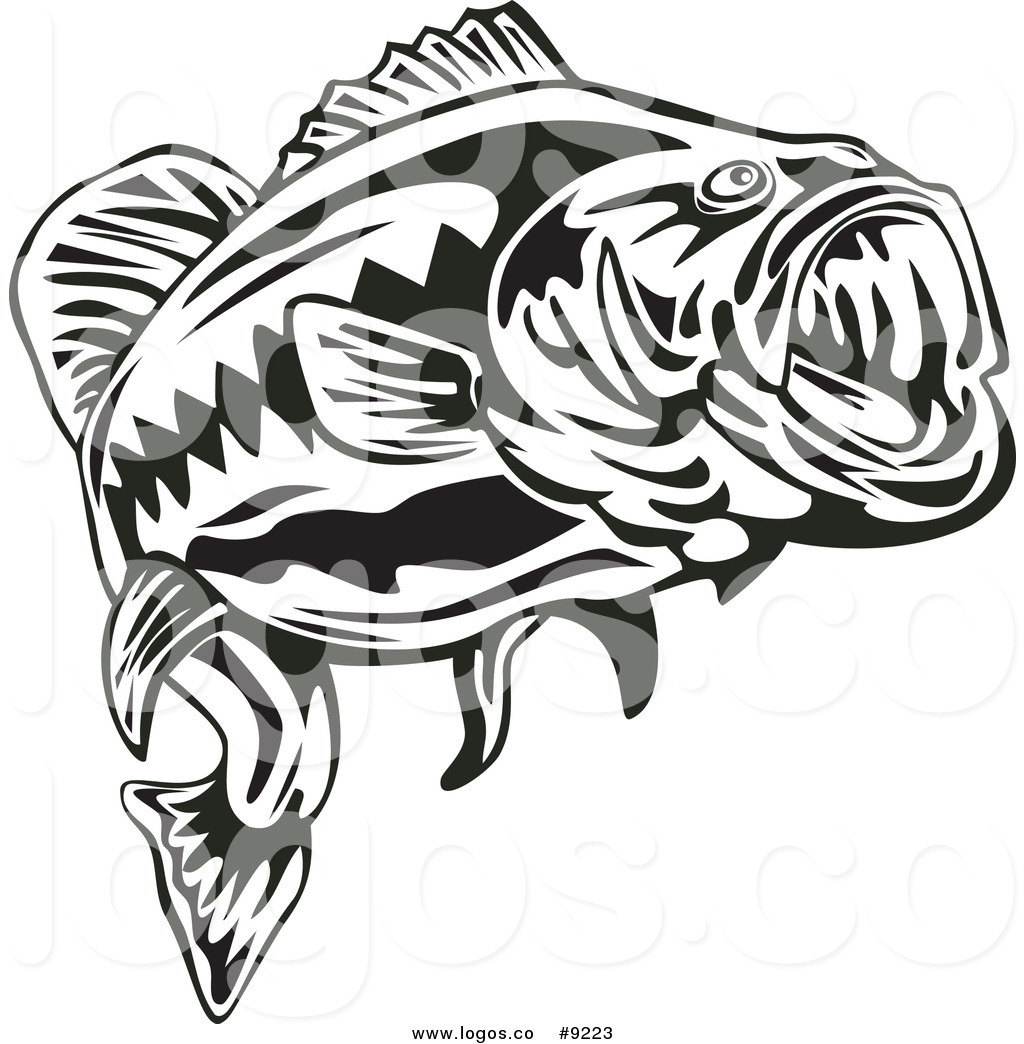 Bass Fish Logo Vector At Vectorified Com Collection Of Bass Fish Logo Vector Free For Personal Use