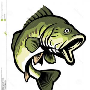 Royalty Free Stock Photos Largemouth Bass Vector Fish Suitable 300x300 Royalty Free Stock Photos Largemouth Bass Vector Fish Suitable