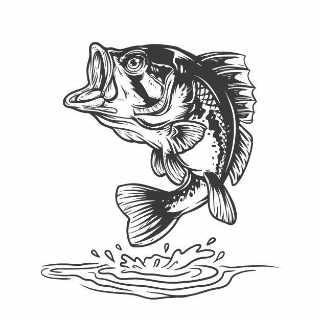 Bass Fish Logo Vector at Vectorified.com | Collection of Bass Fish Logo ...