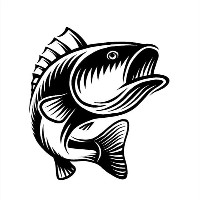 Free SVG Bass Fish Svg Download 18498+ Crafter Files